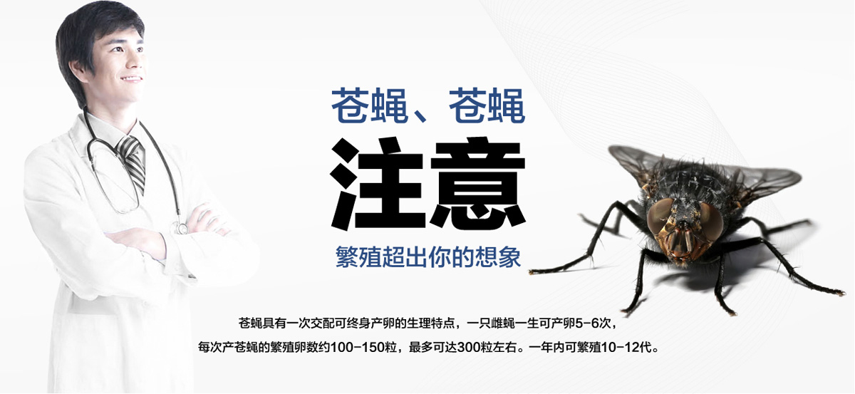 老鼠聰明超出你想象。