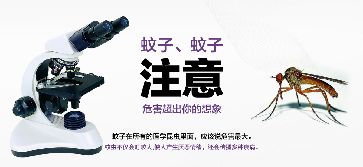 蚊子危害超出你的想象。